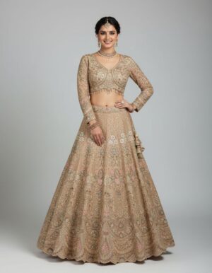 Gold Heavy Embroidered Lehenga
