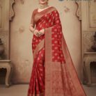 WhatsApp Image 2025-11-08 at 3.21.06 PM (1)