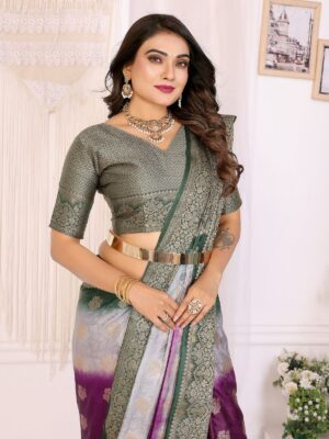 Regal Ombré Banarasi Silk Saree Collection